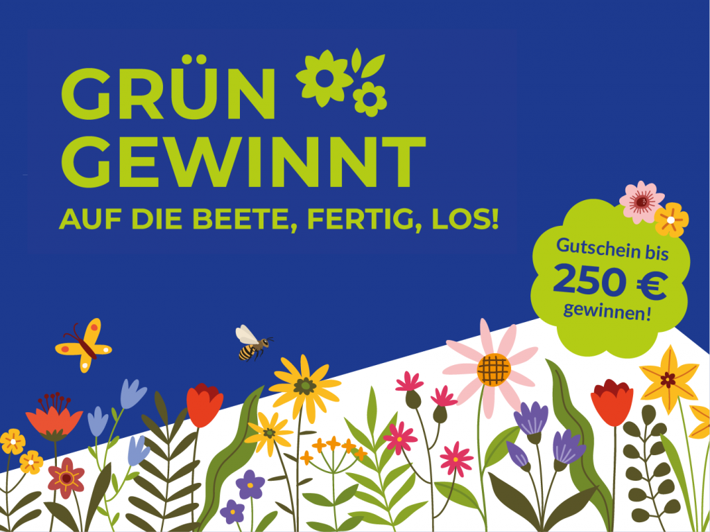 Grün gewinnt Titelbild